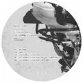 Linkan Ray - Universal Language - Vinyl Record