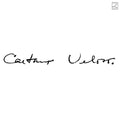 Veloso,caetano - Irene - Vinyl Record