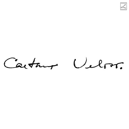 Veloso,caetano - Irene - Vinyl Record