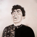 Johnson,hobo - Rise Of Hobo Johnson - Vinyl Record