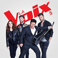 Compilation - La Voix V - Music CD