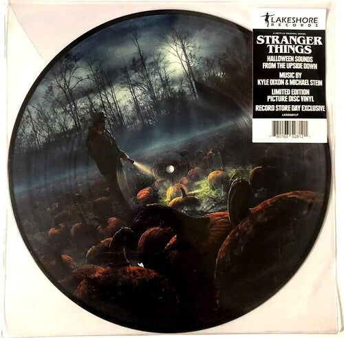 Dixon,kyle / Stein,michael - Stranger Things Halloween Sounds Of The Upside - Vinyl Record