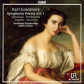 Goldmark / Bamberger Symphoniker / Bollon - Symphonic Poems 1 - Music CD