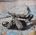 Forest Swords - Compassion - Vinyl Record