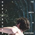 Northbound - Flaws In Everything - Vinyl Record