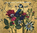 Wickham,steve - Beekeeper - Music CD