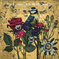 Wickham,steve - Beekeeper - Vinyl Record