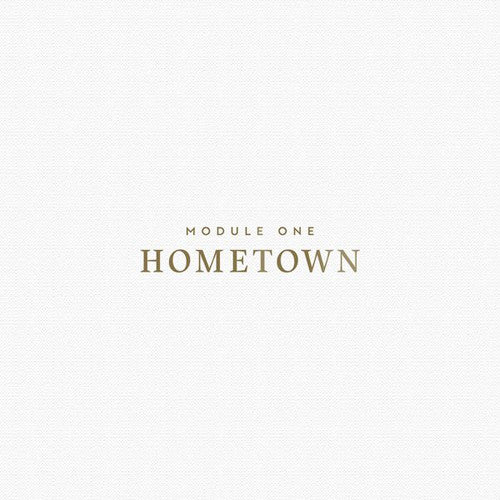 Module One - Hometown - Vinyl Record
