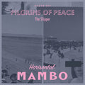 Pilgrims Of Peace - Slipper - Vinyl Record