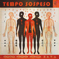 Nicolai,bruno - Tempo Sospeso - Vinyl Record