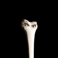 Juana Molina - Halo [LP]