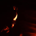 Skepticism - Stormcrowfleet - Music CD