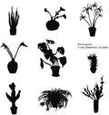 Phantom Island Compilation / Various - Phantom Island Compilation / Various - Music CD