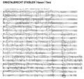 Stiebler,ernstalbrecht - Kanon / Torsi - Vinyl Record