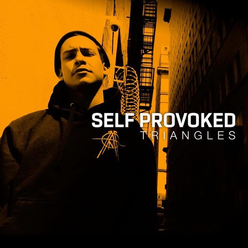 Self Provoked - Triangles - Vinyl Record