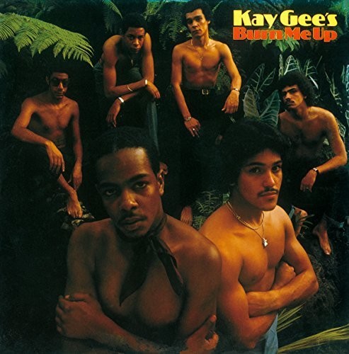 Kaygee's - Burn Me Up - Music CD