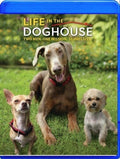 Life In The Doghouse - Life In The Doghouse - Blu-ray