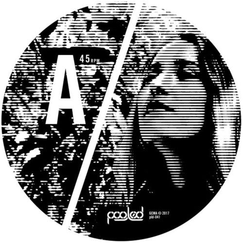 Paganotto,indira - Kashmir - Vinyl Record