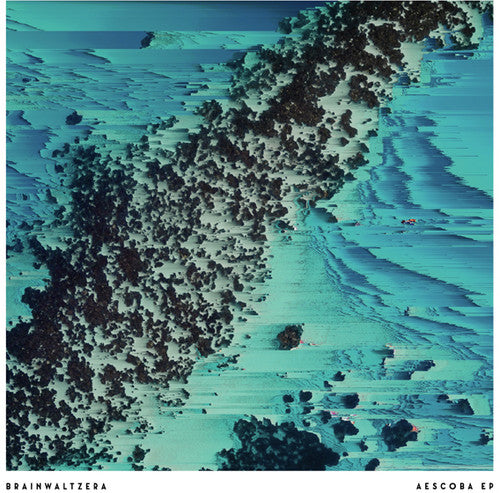 Brainwaltzera - Aescoba - Vinyl Record