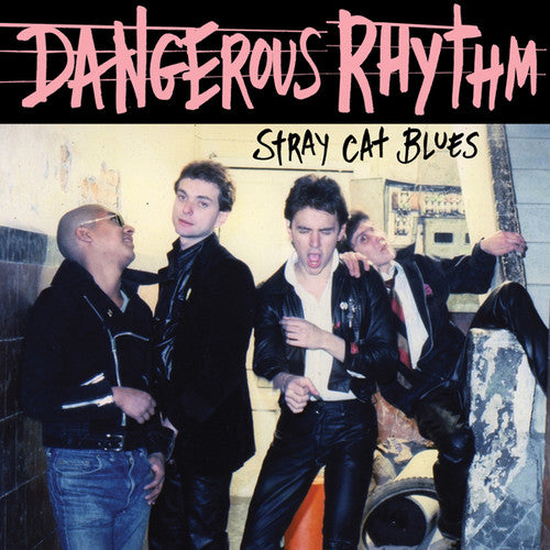 Dangerous Rhythm - Stray Cat Blues - Vinyl Record