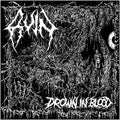 Ruin - Drown In Blood - Music CD