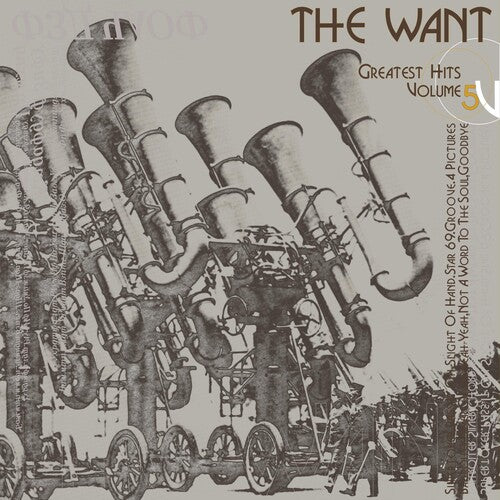 Want - Greatest Hits - Vinyl Record