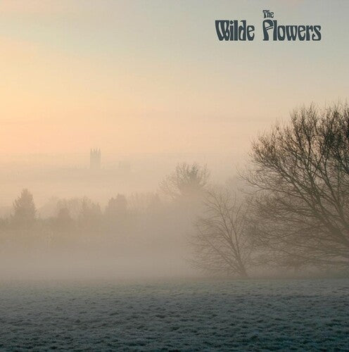Wilde Flowers - Wilde Flowers - Vinyl Record