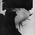 These Hidden Hands - These Moments Dismantled - Vinyl Record