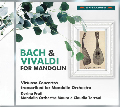 Bach,j.s. / Vivaldi / Frati / Tenchini - Bach & Vivaldi For Mandolin - Music CD