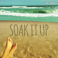 Gillum,jim - Soak It Up - Music CD