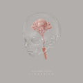 Lingering [LP] Vinyl Record