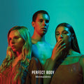 Mermaidens - Perfect Body - Vinyl Record