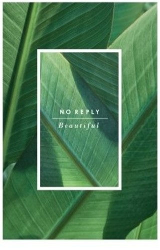 No Reply - Beautiful - Music CD