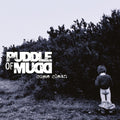 Puddle Of Mudd - Come Clean - Vinyl Record