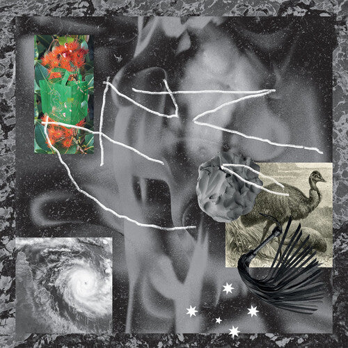 No Zu - Afterlife - Vinyl Record