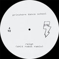 Prinzhorn Dance School - Remixes - Vinyl Record
