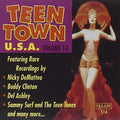 Teen Town Usa 14 / Various - Teen Town Usa 14 / Various - Music CD