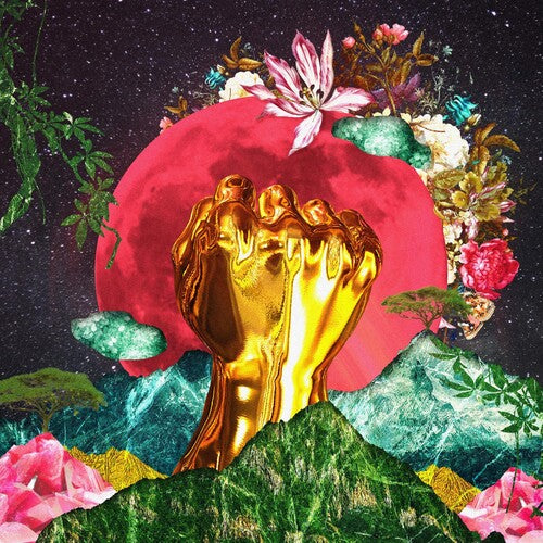 Mushonga,rina - In A Galaxy - Vinyl Record
