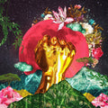 Rina Mushonga - In A Galaxy [LP]
