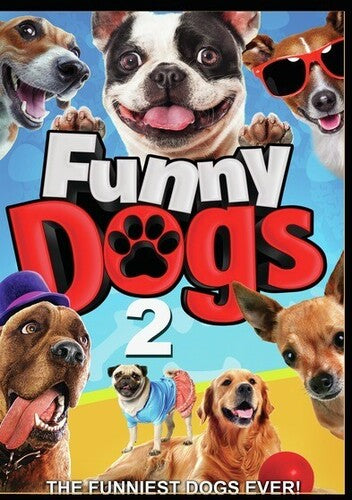 Funny Dogs 2 - Funny Dogs 2 - DVD