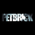 Petbrick - Petbrick - Vinyl Record