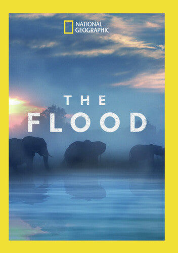 Flood - Flood - DVD