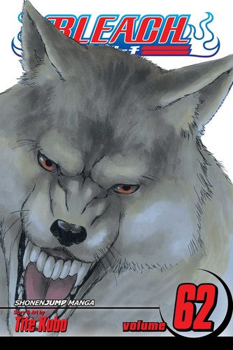 Kubo,tite - Bleach Vol 62 - Books