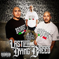 13 Boy'z - Last Of A Dying Breed - Music CD