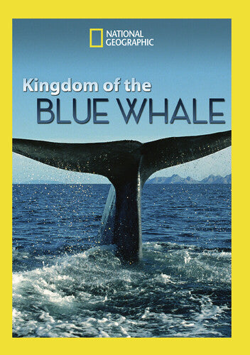 Kingdom Of The Blue Whale - Kingdom Of The Blue Whale - DVD