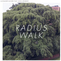 Schneider Kacirek - Radius Walk - Music CD