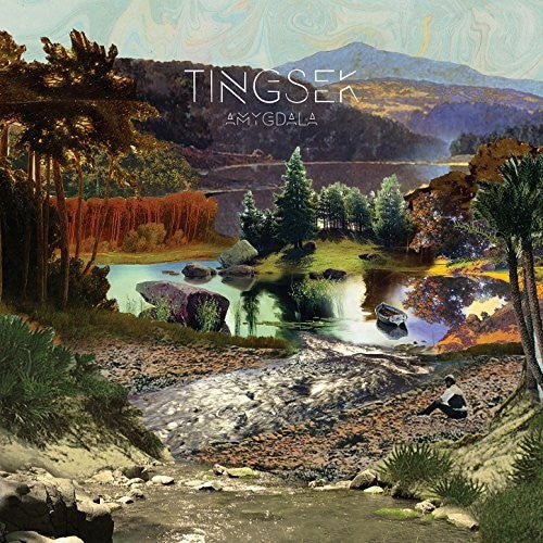 Tingsek - Amygdala - Music CD