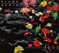 Blaqk Audio - Only Things We Love - Music CD