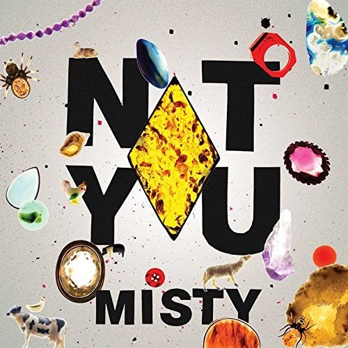 Not You - Misty - Vinyl Record