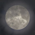 Electric Sewer Age - Moon's Milk In Final Phase - Music CD